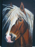 /album/galerie-photos/petit-blondinet-copie-jpg/